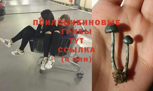 марки nbome Белоозёрский