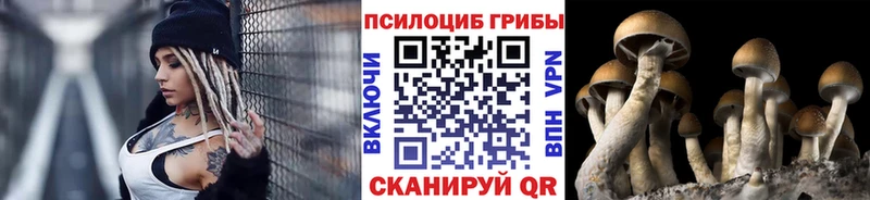 хочу наркоту  Электроугли  Псилоцибиновые грибы Magic Shrooms 
